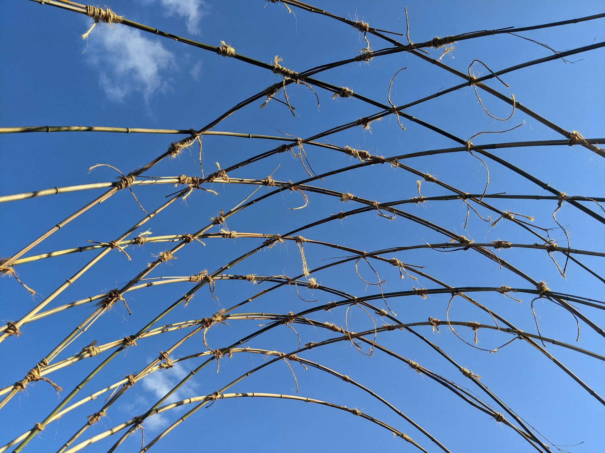 Diamonds Overhead Criss-crossing canes meeting from both diagonal directions, forming diamonds overhead